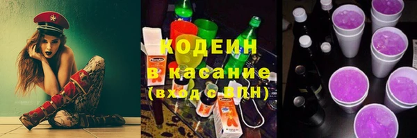 молекула духа Пестово