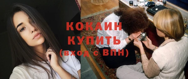 прущие крисы Пересвет