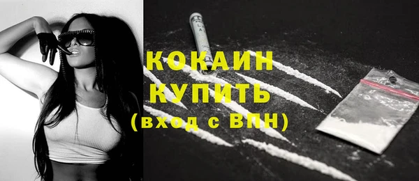 молекула духа Пестово