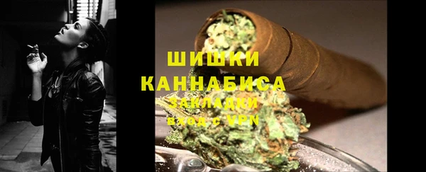 прущие крисы Пересвет