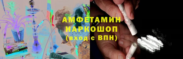 молекула духа Пестово