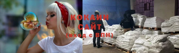 прущие крисы Пересвет