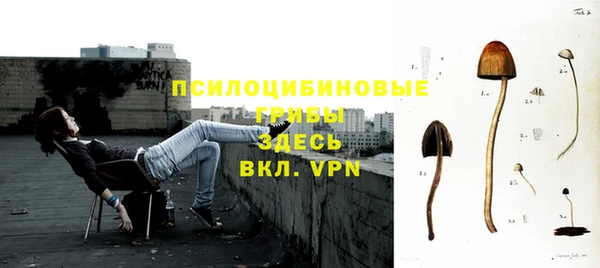 прущие крисы Пересвет