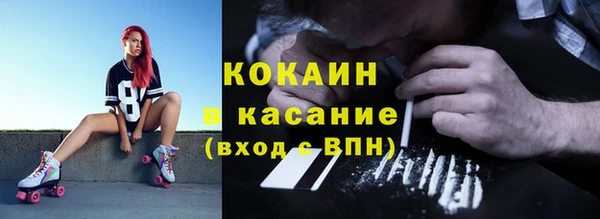 молекула духа Пестово