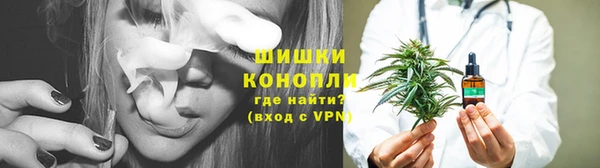 молекула духа Пестово