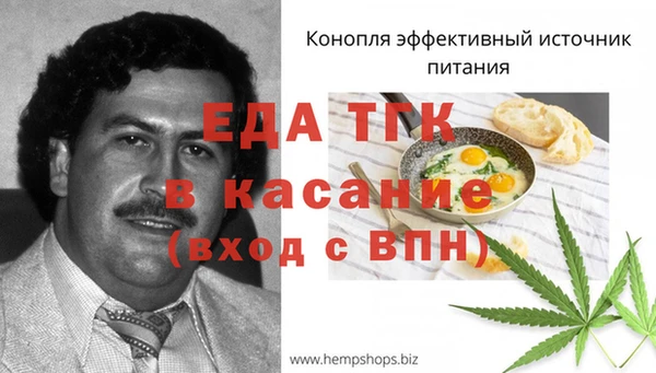 молекула духа Пестово