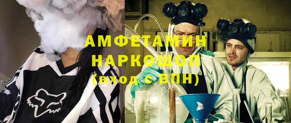 молекула духа Пестово