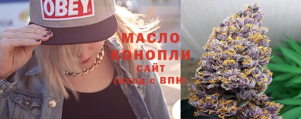 прущие крисы Пересвет