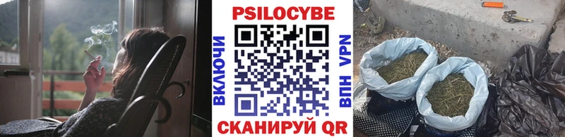 Галлюциногенные грибы прущие грибы где можно купить наркотик Прохладный