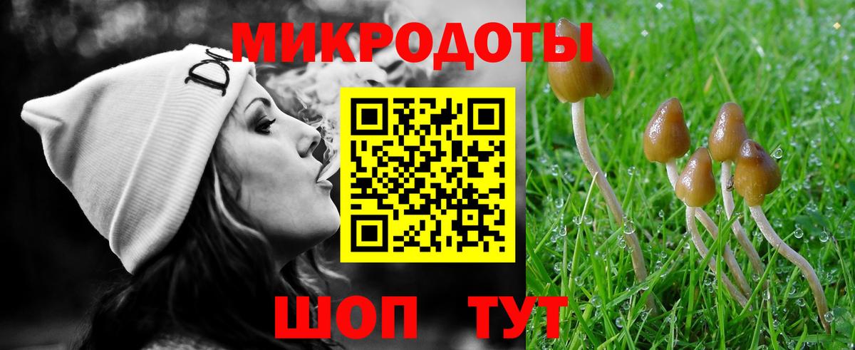 Галлюциногенные грибы Cubensis Прохладный