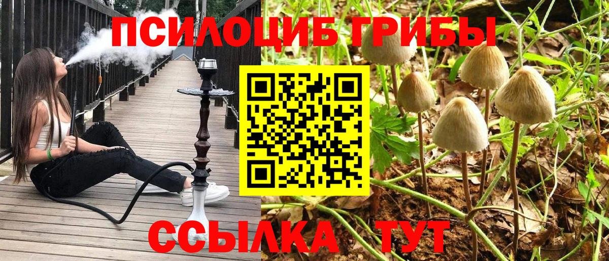 Галлюциногенные грибы GOLDEN TEACHER Прохладный