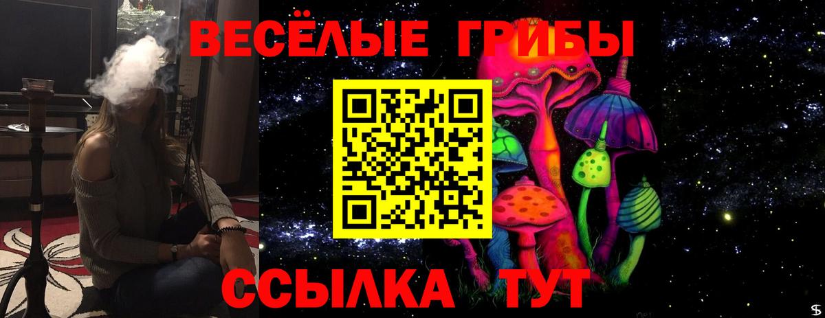 даркнет сайт  Вход с VPN  Прохладный  Псилоцибиновые грибы MAGIC MUSHROOMS 